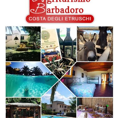 Agriturismo Barbadoro San Vincenzo Exteriör bild