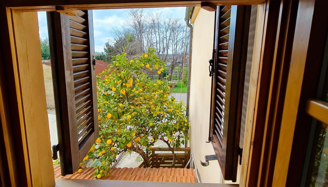 Agriturismo Barbadoro San Vincenzo Exteriör bild