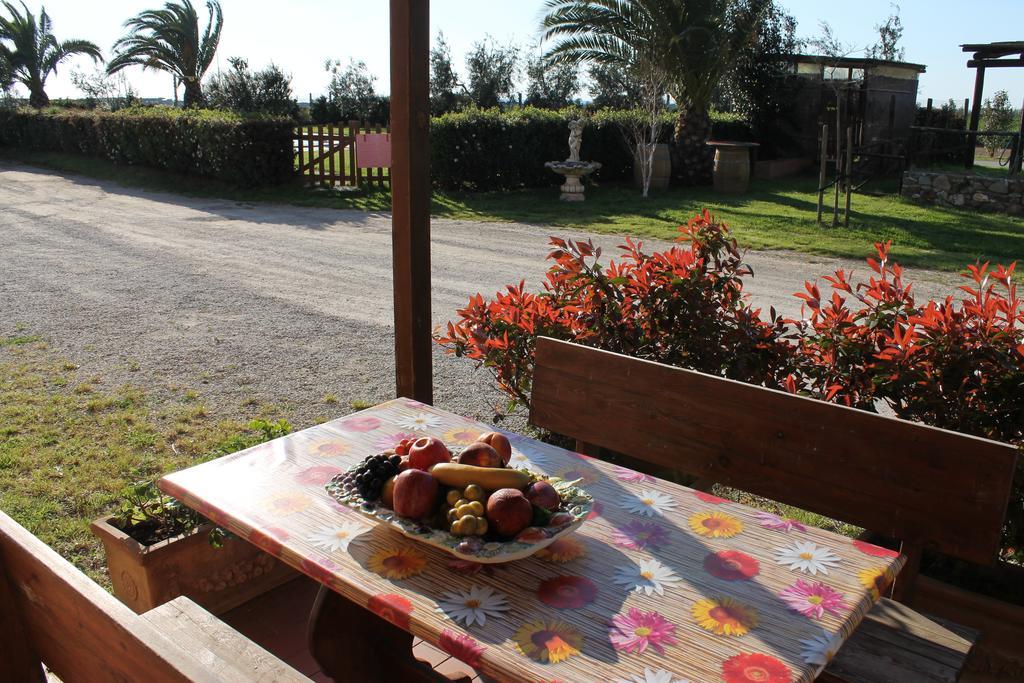 Agriturismo Barbadoro San Vincenzo Rum bild