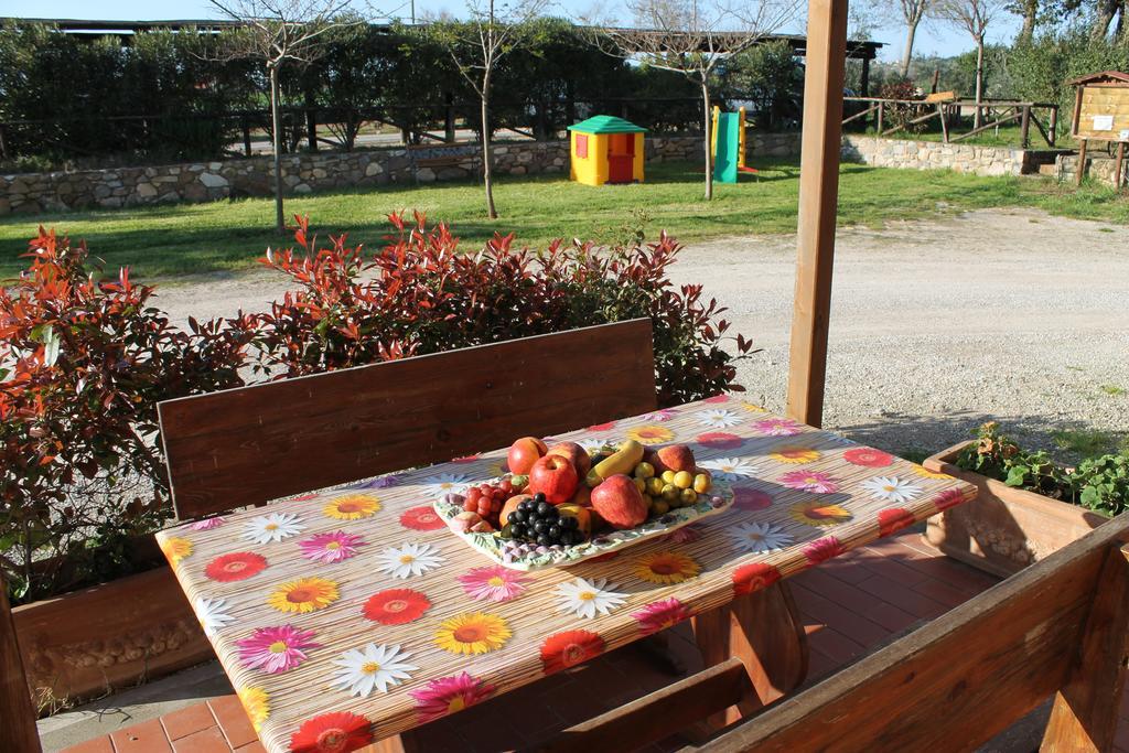 Agriturismo Barbadoro San Vincenzo Rum bild
