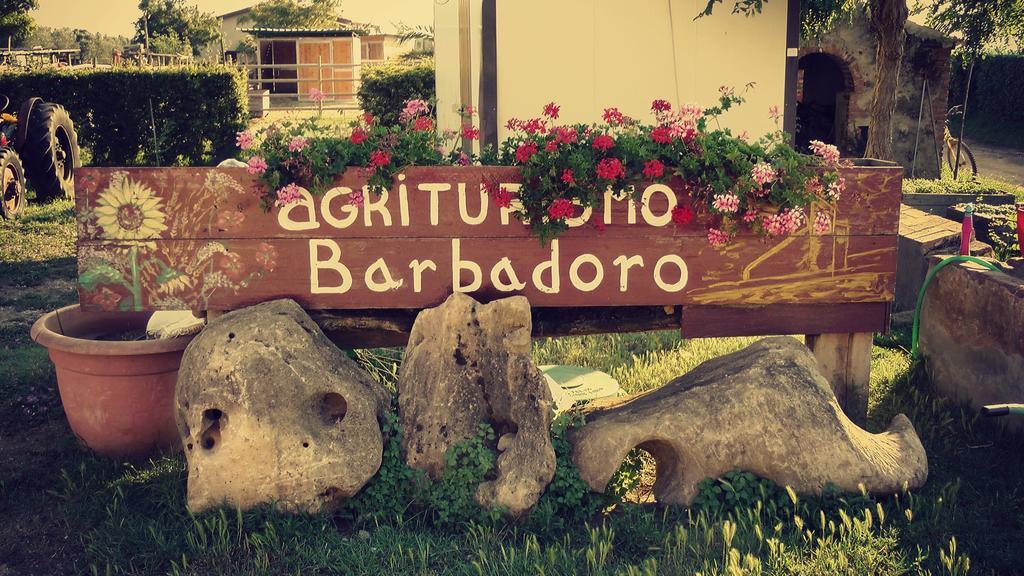 Agriturismo Barbadoro San Vincenzo Rum bild