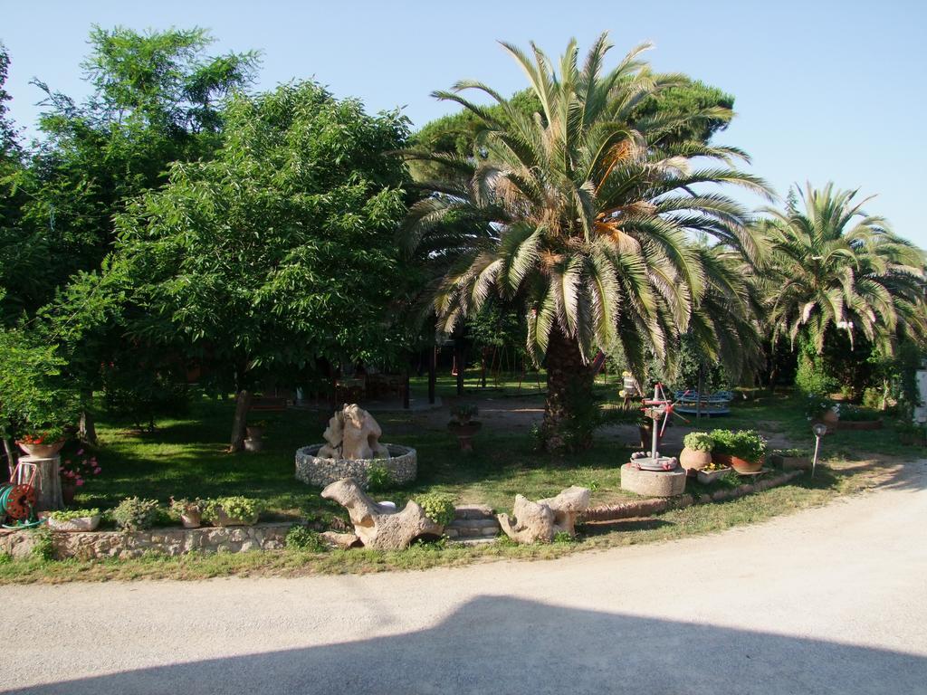 Agriturismo Barbadoro San Vincenzo Exteriör bild